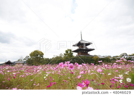 宇宙和佐子 48046029