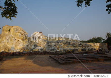 Wat · Rochester Wat · Rochester 48046825