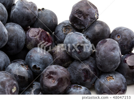 被寵壞的藍莓灰黴黴菌腐真菌病病原體腐敗 48047153