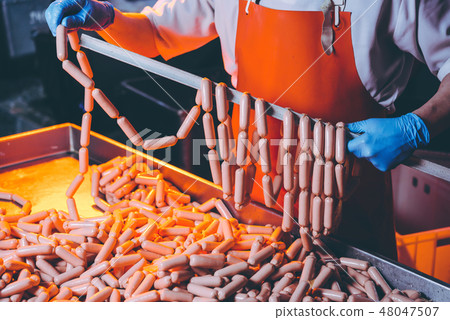 sausage meat production sausage meat production 48047507