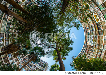 臺灣高雄左營果貿社區Kaohsiung Old National Residence 48047712
