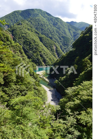 懸索橋山主(靜岡)夢 懸索橋山主(靜岡)夢 48047800