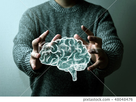 cerebral, brain, brains 48048476