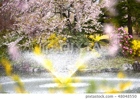 一個公園的春天樣式有櫻花和噴泉的 48048550