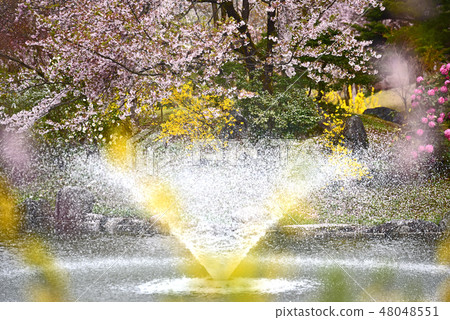 一個公園的春天樣式有櫻花和噴泉的 48048551