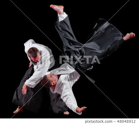 Two martial arts fighters Two martial arts fighters 48048912