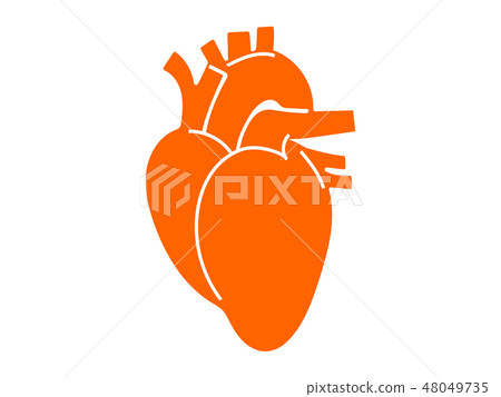 Organ cardiac silhouette Picto style illustration Organ cardiac silhouette Picto style illustration 48049735