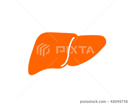 Organ Liver silhouette Picto style illustration Organ Liver silhouette Picto style illustration 48049736