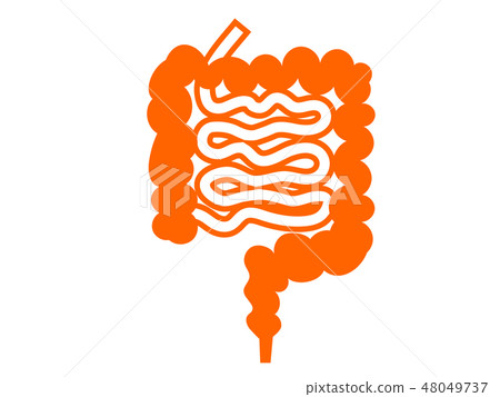 Organ intestinal silhouette Pict-style illustration Organ intestinal silhouette Pict-style illustration 48049737