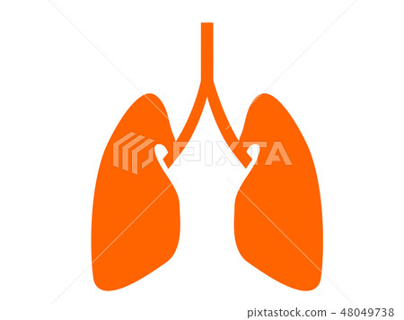 Organ lung silhouette Pict-style illustration Organ lung silhouette Pict-style illustration 48049738