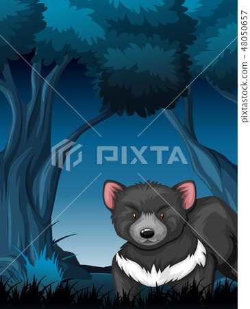 A tasmanian devil in tropical rainforest 48050657