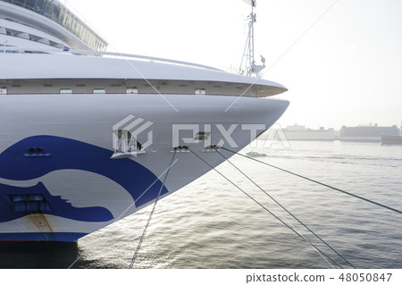 鑽石公主 48050847