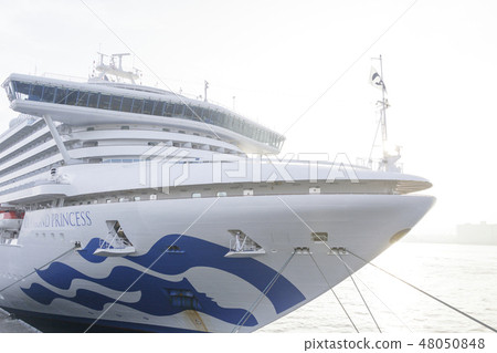 鑽石公主 48050848