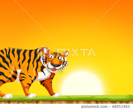 A tiger on sunset background 48051483