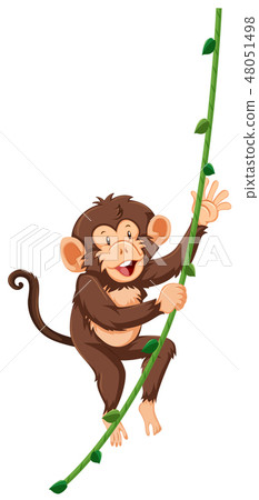 Monkey on vine white background 48051498