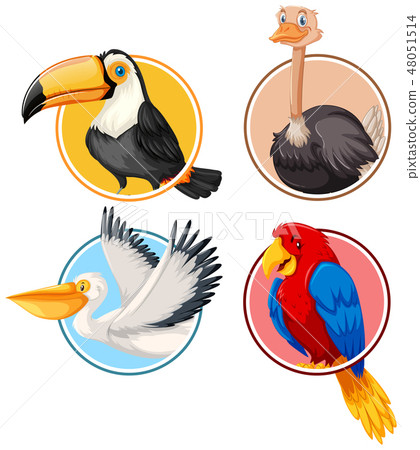 Set of bird in circle Set of bird in circle 48051514