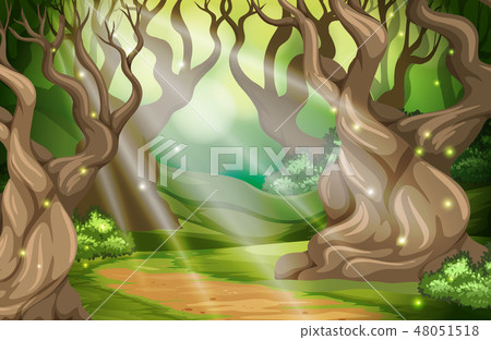 A tropical rainforest background A tropical rainforest background 48051518