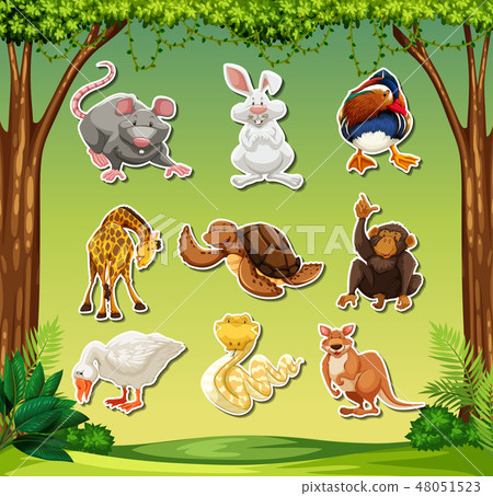 Set of animal sticker pack Set of animal sticker pack 48051523