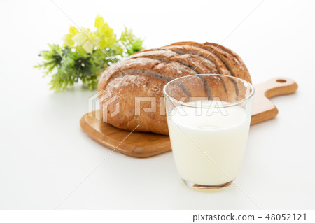 milk  48052121