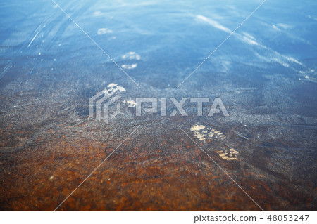 Traces on the river on the first autumn ice 48053247