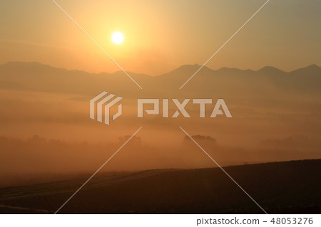 北海道富良野日出晨霧 北海道富良野日出晨霧 48053276
