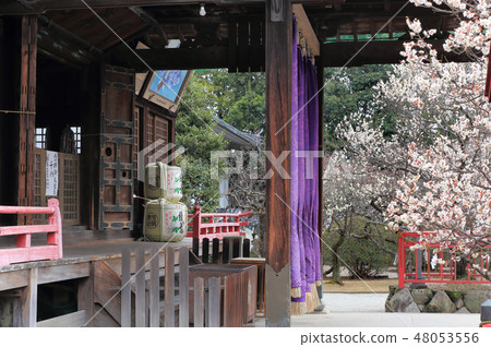 Takinomiya Tenmanguugu在早春 Takinomiya Tenmanguugu在早春 48053556