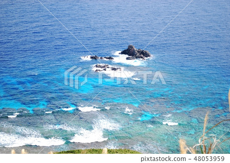 Sea of coral reef Sea of coral reef 48053959