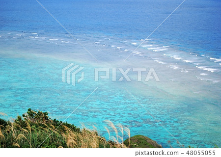 Sea of coral reef Sea of coral reef 48055055