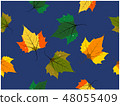 The seamless wallpaper of three divisions leaves  48055409