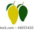 The yellow and green mangoes  48055420