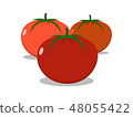 The three colors fresh tomatoes  48055422