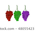 The three colors of grapes  48055423