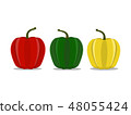 The three colors of bell chilies  48055424