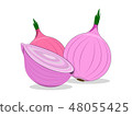 The fresh red onions  48055425