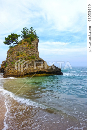 Izushita Tadashi Yoshimi Ohama Izushita Tadashi Yoshimi Ohama 48055469