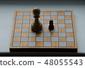 Two pawns on the chessboard 48055543