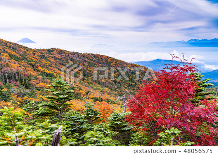[Yamanashi Prefecture] A view of Mt. Fuji from the autumn colors of Mt. 48056575