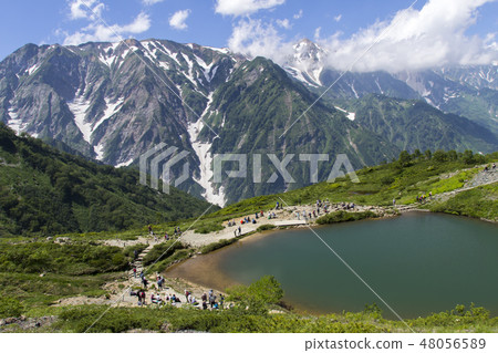 Summer Hakuba Happo-one / Hakubike Pond / Hakuba-mura Nagano Prefecture Summer Hakuba Happo-one / Hakubike Pond / Hakuba-mura Nagano Prefecture 48056589