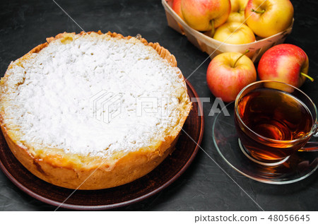 Traditional apple pie with vanilla custard. Polish Traditional apple pie with vanilla custard. Polish 48056645