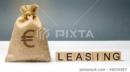 Money bag and blocks with the word Leasing. Money bag and blocks with the word Leasing. 48056967