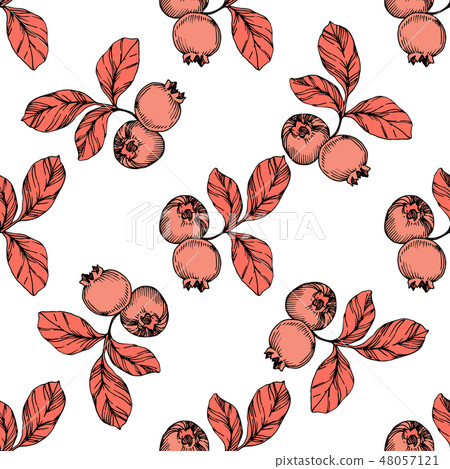 Vector Blueberry black and coral engraved ink art. Berries and leaves. Seamless background pattern. Vector Blueberry black and coral engraved ink art. Berries and leaves. Seamless background pattern. 48057121