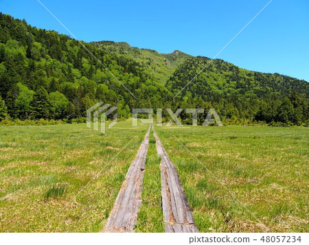 Mount Mt. 48057234
