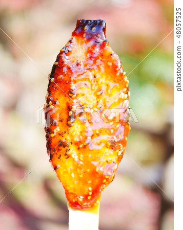 Gojira Mochi 48057525