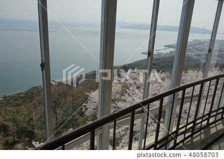 Sumiura公園 Sumiura公園 48058703