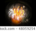 Lamp and light of electricity 48059254