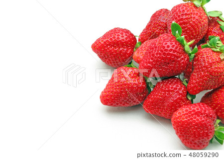 草莓 48059290
