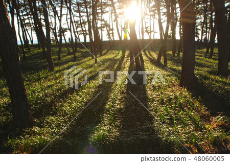 忠清南道城川郡Janghang-eup 忠清南道城川郡Janghang-eup 48060005