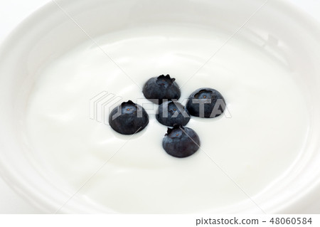 Yogurt  Yogurt  48060584
