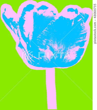 Flower picture 48060735