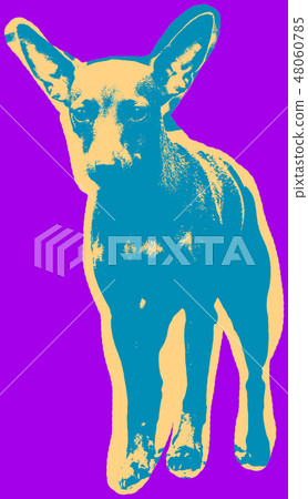 Poster with portrait of a miniature pinscher dog 48060785
